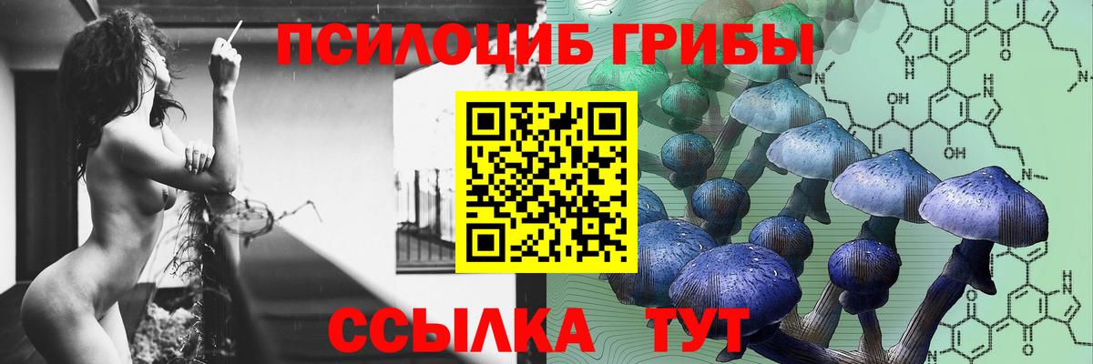 Псилоцибиновые грибы MAGIC MUSHROOMS  что такое   Новочеркасск  Вход с VPN 